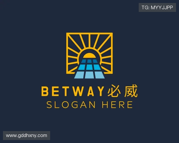 关于bw必威西汉姆联官网